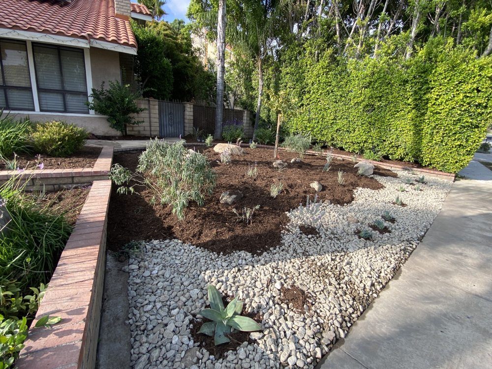Drought-tolerant garden with gravel and native plants