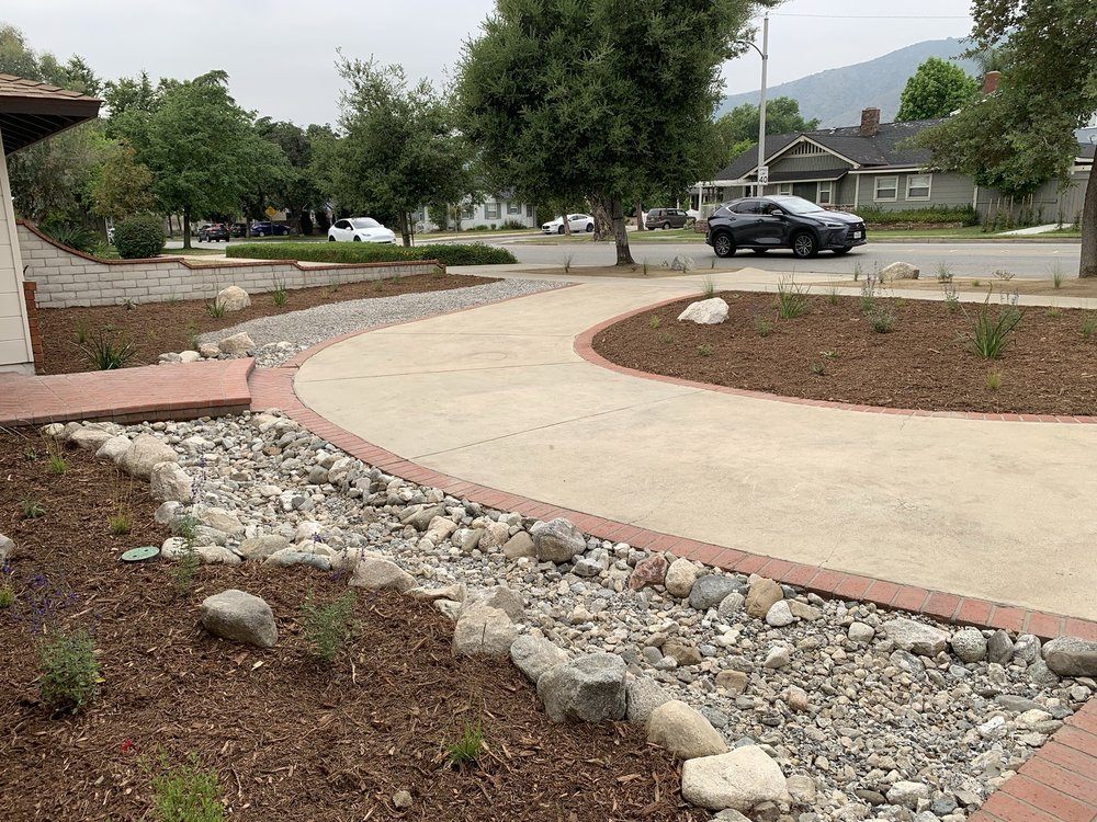 Lawn replaced with gravel and native plants