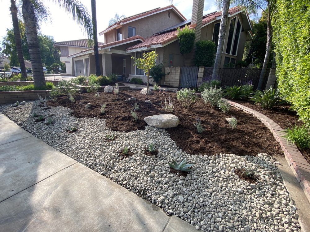 Low-water front yard with rock and succulents