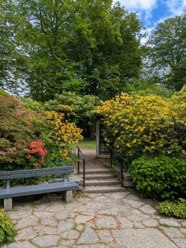 landscape lights