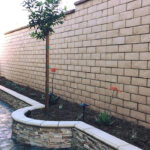 Drought-Tolerant Landscaping- All Environmental Design - Home