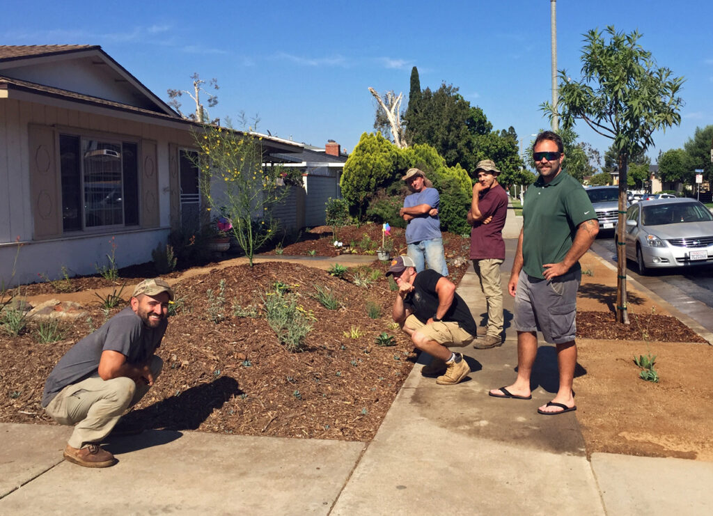 drought tolerant