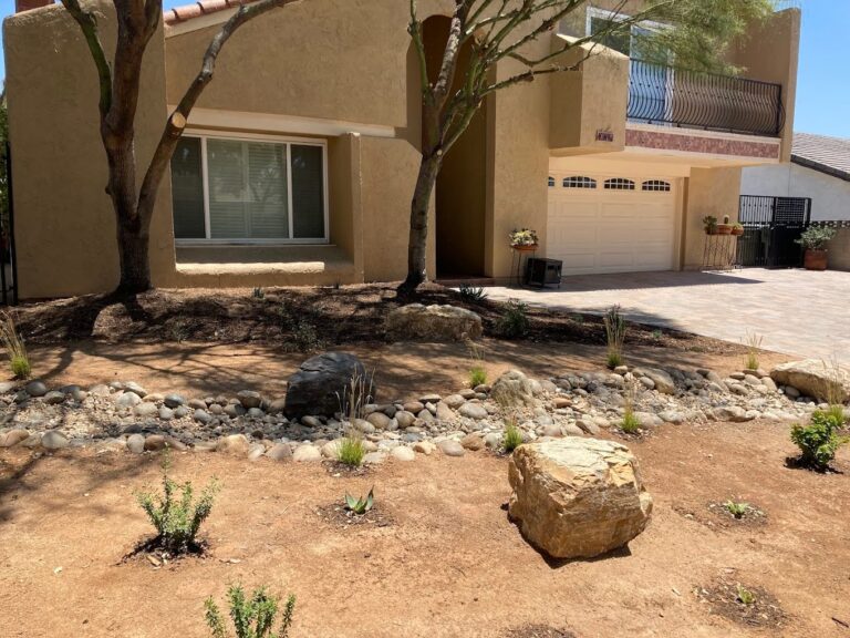 drought tolerant yard