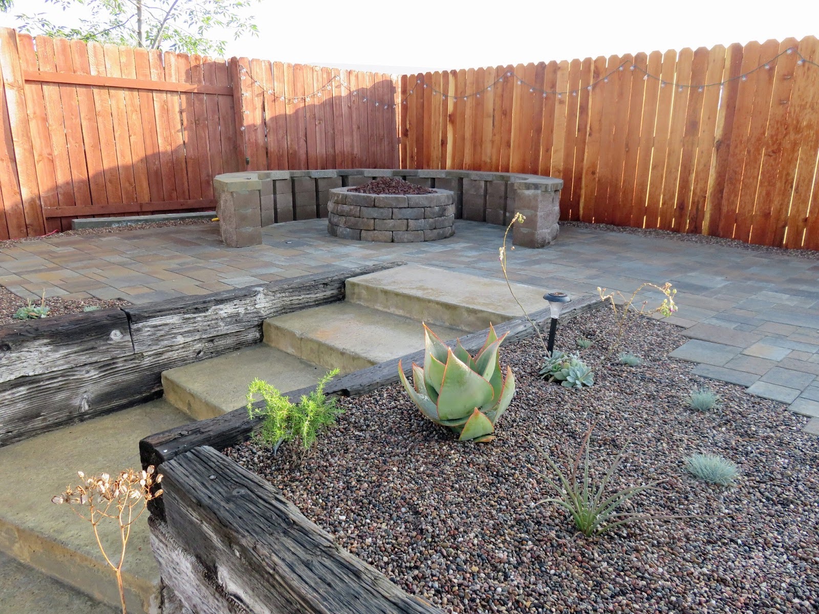 drought tolerant garden